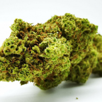 HampaBlommor; *Pineapple*