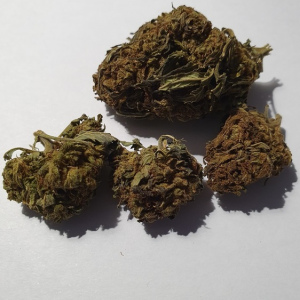 HampaBlommor; Lemon Skunk